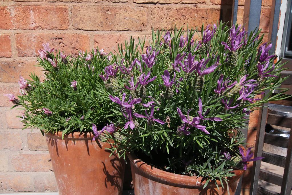 The Bell, Alderminster Bed and Breakfast Stratford-upon-Avon Exteriör bild